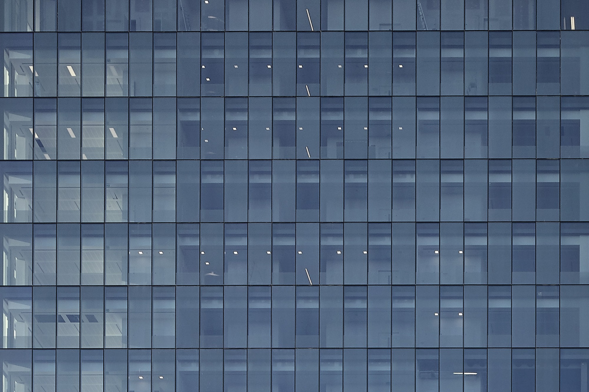 Glass Facade Elevation